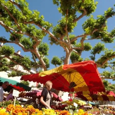 Confort, Wifi Et Garage Millau